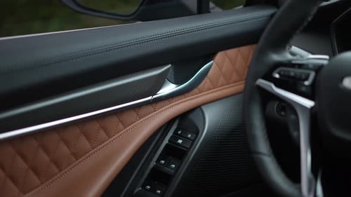 Modern Car Door Interior with Leather Paneling