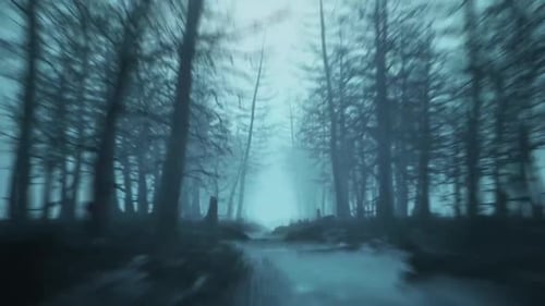 Blurred Motion in a Misty Forest