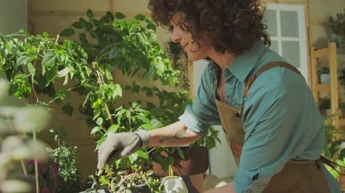 Young Adult tending indoor plants in sunny room