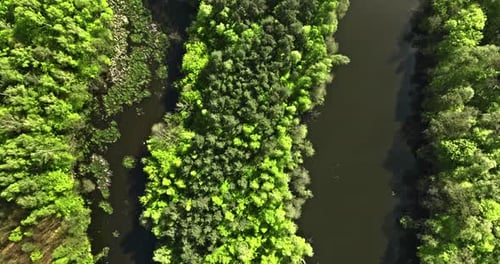 Top down view of swamps and river at spring.