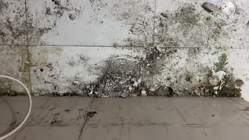 Dirty kitchen wall stain polluted basin beige black broken brown chrome domestic life drain with flo