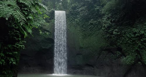 Tropical Waterfall Flowing in Lush Green Jungle