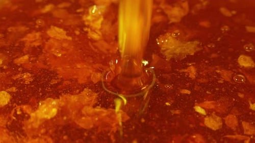 Unfiltered Honey Dripping From Honeycombs Macro Natural Bees Wax Cells Gold