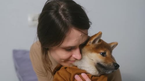 Woman Cuddling Shiba Inu Dog in Brown Hoodie