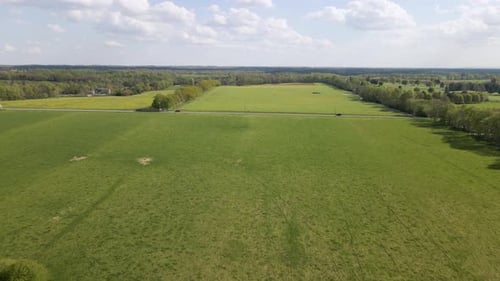 4K-Flugzeug-/Drohnenüberführung über Brachfeld mit Gras und Blumen.