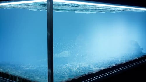 Cube Aquarium V2