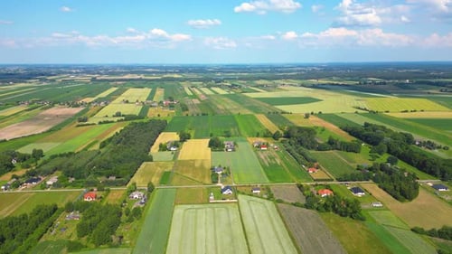Abstract geometric shapes of agricultural parcels of different crops in yellow and green colors. Aer