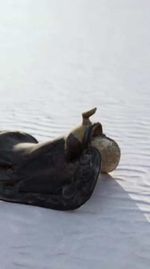 Old Horse Saddle on the Beach