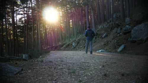 Eine Aufnahme eines Mannes, der einen Bergpfad zwischen einem Pinienwald hinuntergeht