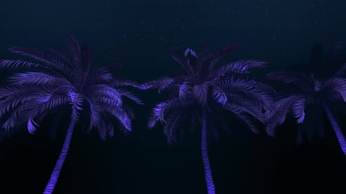 Glowing Palm Night Loop