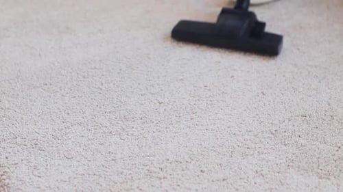 Vacuum Cleaner Cleaning Beige Carpet in Home Interior
