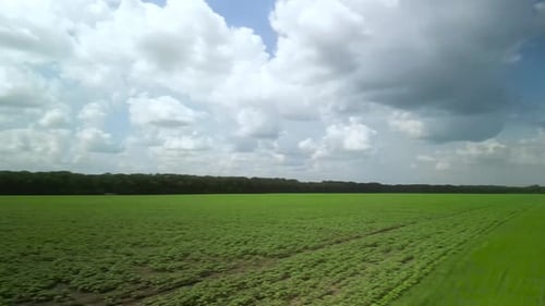 Luftbild auf der grünen Wiese in der Ukraine