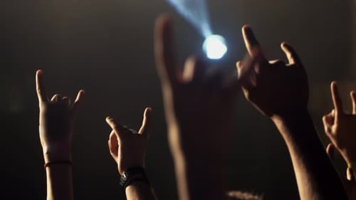 Festival of youth rock music. The crowd of fans raised their hands,they are waving them. Some of the