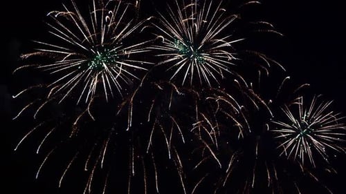 Fireworks Exploding in the Night Sky
