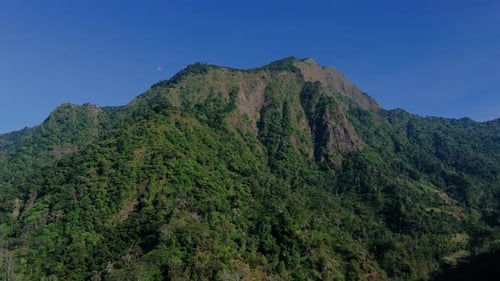 Aerial bird eye of green forest mountain with blue morning sky