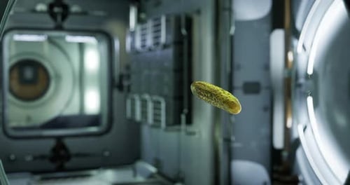 3D Animation of Cucumber Floating in Space Station