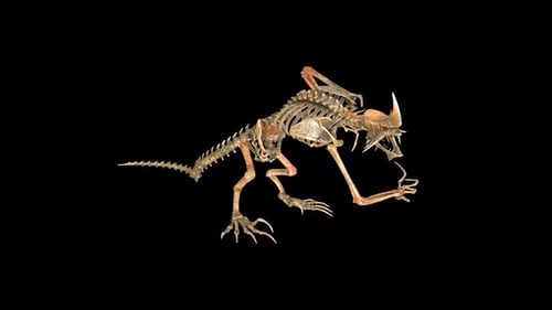 Animated 3D Skeleton Monster Roaring and Posing