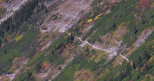Highline trail in Glacier National Park, a beautiful hiking path accessible From Logans Pass