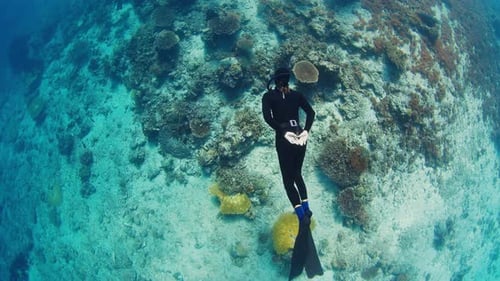 Freediver Glides Underwater Over the Vivid Coral Reef in the Komodo National Park in Indonesia