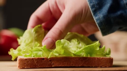 Making a Sandwich with Lettuce and Sliced Meat