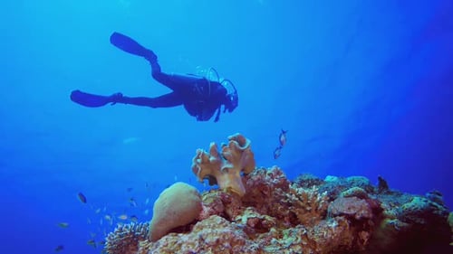 Underwater Ambience