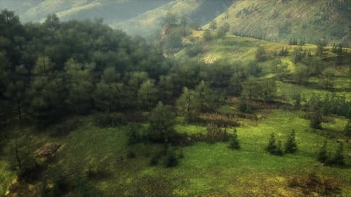 Aerial View of Lush Green Valley in German Alps