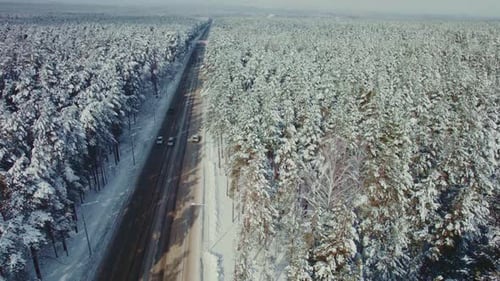 Winterfahrt durch verschneite Waldlandschaft auf einer ruhigen Straße
