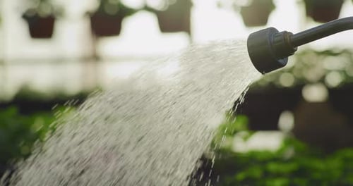 Gardener Watering Flowers with Closeup of Hose Nozzle