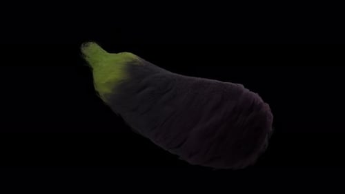 Surreal Furry Eggplant Rotating on Black Background Animation