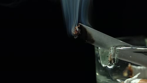 harm of smoking 1 cigarette a day Physical Health