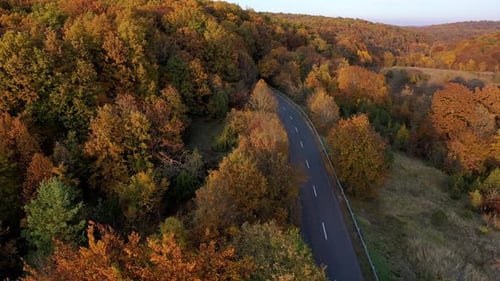 Aerial view autumn In The Forest and road in hungary