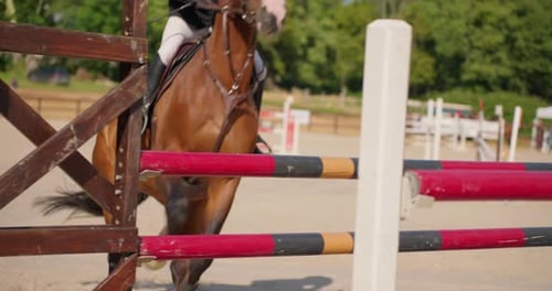 Filmmusik Zeitlupen-Nahaufnahme einer jungen Reitmeisterin in professioneller Kleidung