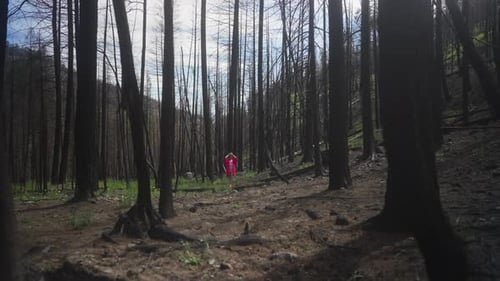 Girl in pink looking around in a burnt forest