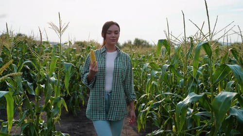 Woman Walking Through Cornfield Holding Corn