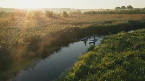 Couple Riding SUP Boards in River Near Field at Sunrise