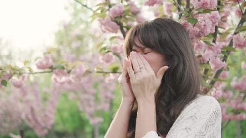 Brunette Woman Near Pink Blossoming Tree in Springtime
