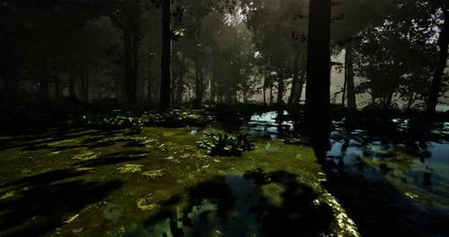 Serene Forest Landscape with Sunlight Filtering Through Trees and Water