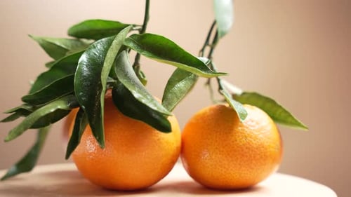 Close Up of Fresh Oranges with Green Leaves