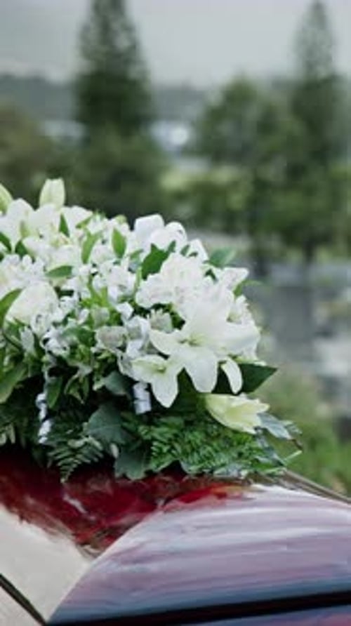 Coffin, flowers and funeral in cemetery with burial ceremony, remembrance