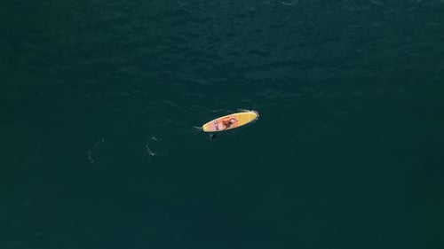 Sea Man Sup Top Down View on Athlete Man Swimming in Sea and Paddleboarding at Summer Sunset