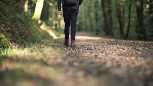 A man is walking away and looking back on the leaves path in a forest