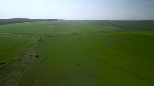 Spray Fertilize On Field With Chemicals In Agriculture Field