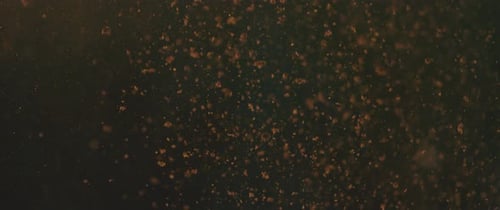 Dust particles going upwards