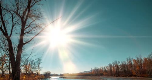 Mountain River Timelapse at the Summer or Autumn Day Time Wild Nature Clear Blue Water and Dry Trees