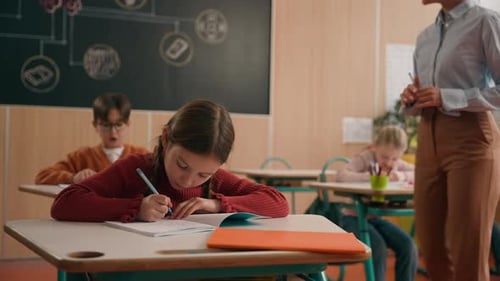 School Class Lesson Children Kids Studying Learning Woman Teacher Female Walking Teaching Little Boy