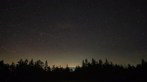 Zeitraffer des Nachthimmels von der Dämmerung bis zur Morgendämmerung über einer Waldsilhouette mit Milchstraße und Wolken