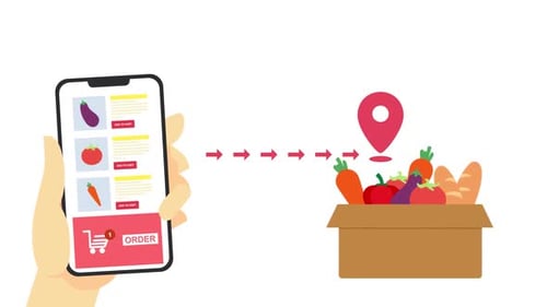 Ordering groceries from online groceries delivery app