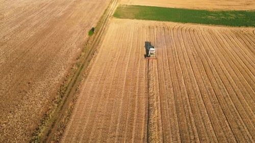 Agricultura: cortador de feno, trator de pelúcia, trabalho de campo moderno, vila rural, drone aéreo