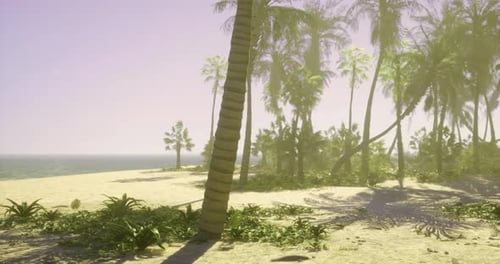 Peaceful Tropical Beach with Palm Trees Under Clear Blue Skies in Daylight