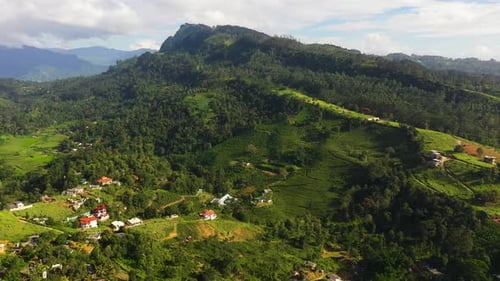 Mountain Valley with Farmland